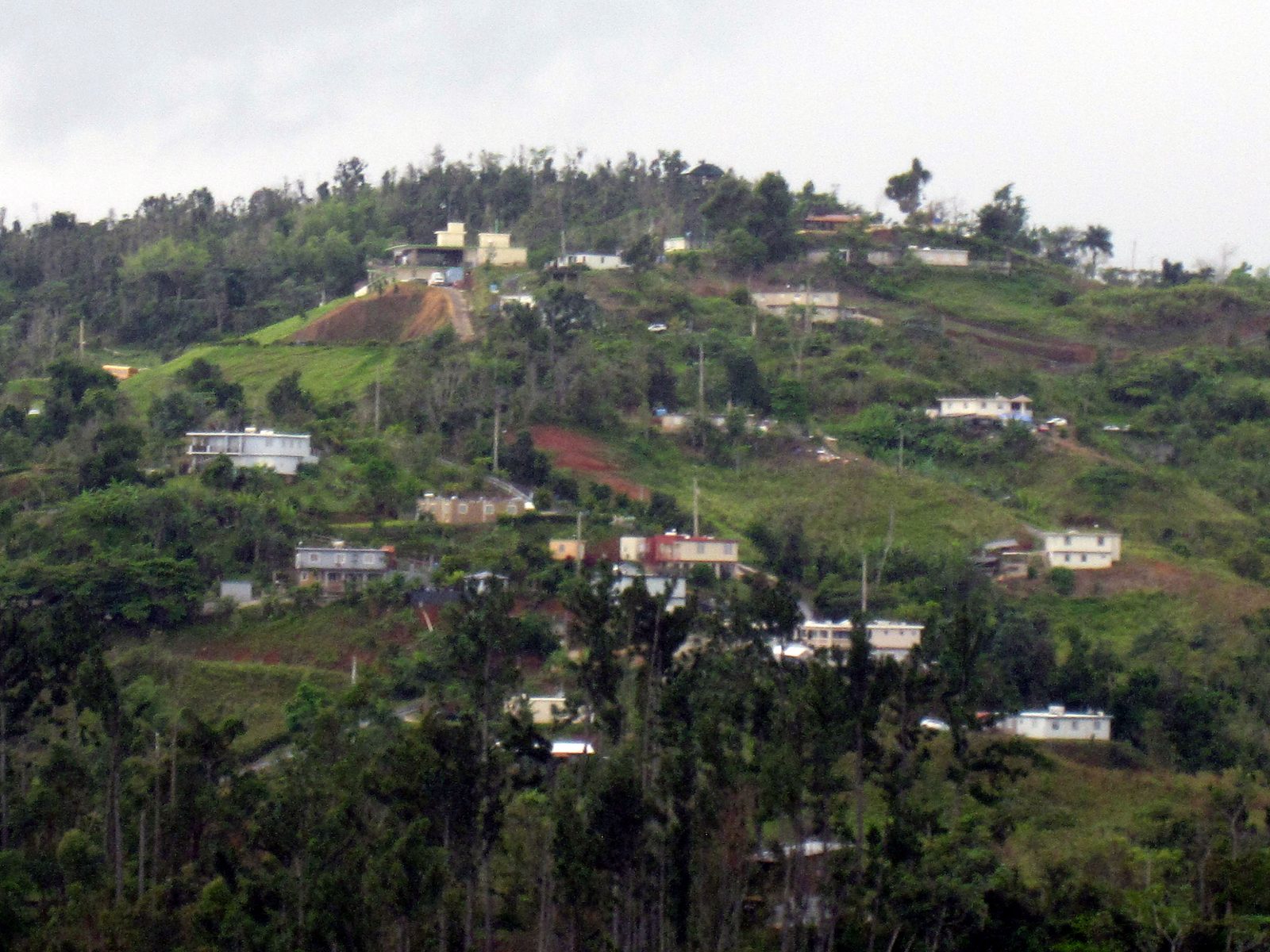 Toro Verde Adventure Park